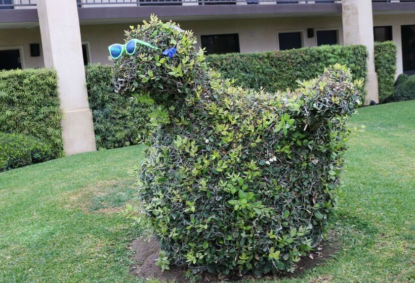 فندق Best Western Plus South Coast Inn