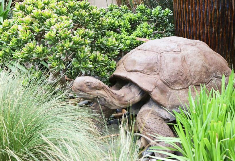 فندق Best Western Plus South Coast Inn