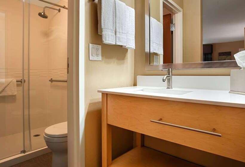 فندق Best Western Plus South Coast Inn