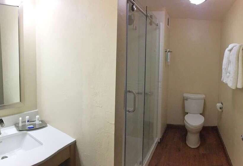 هتل Best Western Plus South Coast Inn
