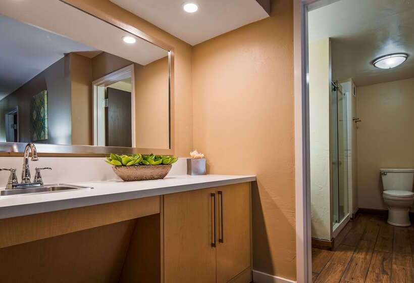 فندق Best Western Plus South Coast Inn