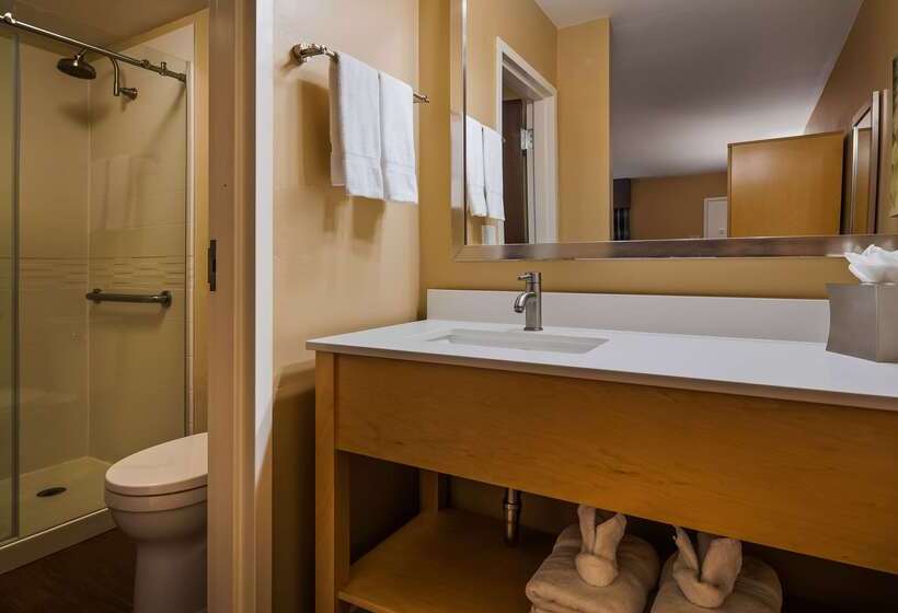 فندق Best Western Plus South Coast Inn