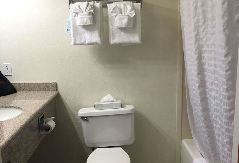 בית מלון כפרי Best Western Plus Villa Del Lago Inn Patterson