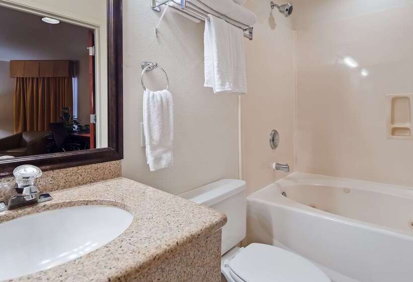 בית מלון כפרי Best Western Plus Villa Del Lago Inn Patterson