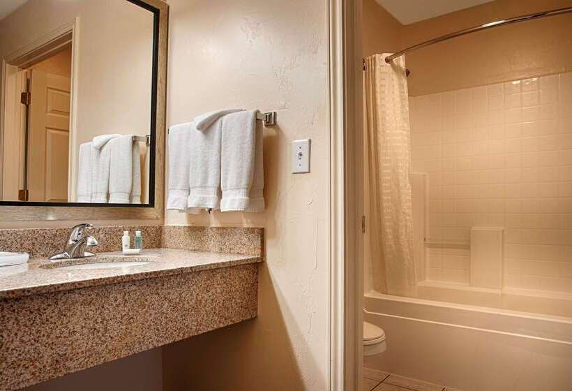 酒店 Best Western Snyder Inn