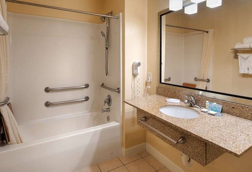 酒店 Best Western Snyder Inn