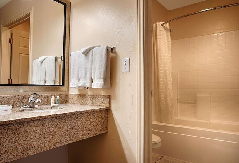 酒店 Best Western Snyder Inn