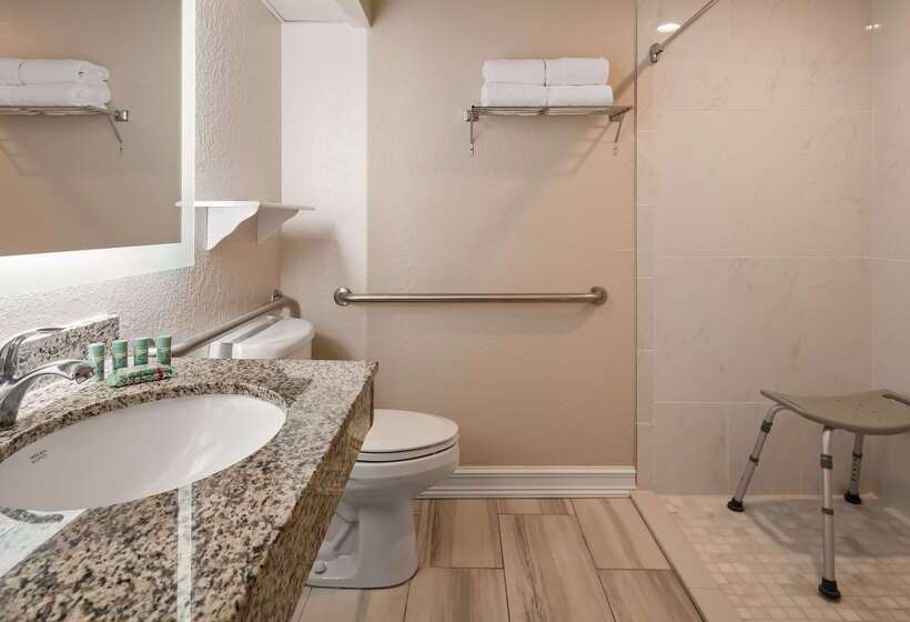 فندق Best Western Tampa