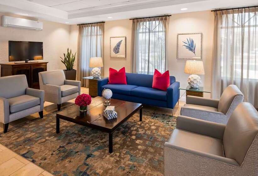 فندق Best Western Tampa