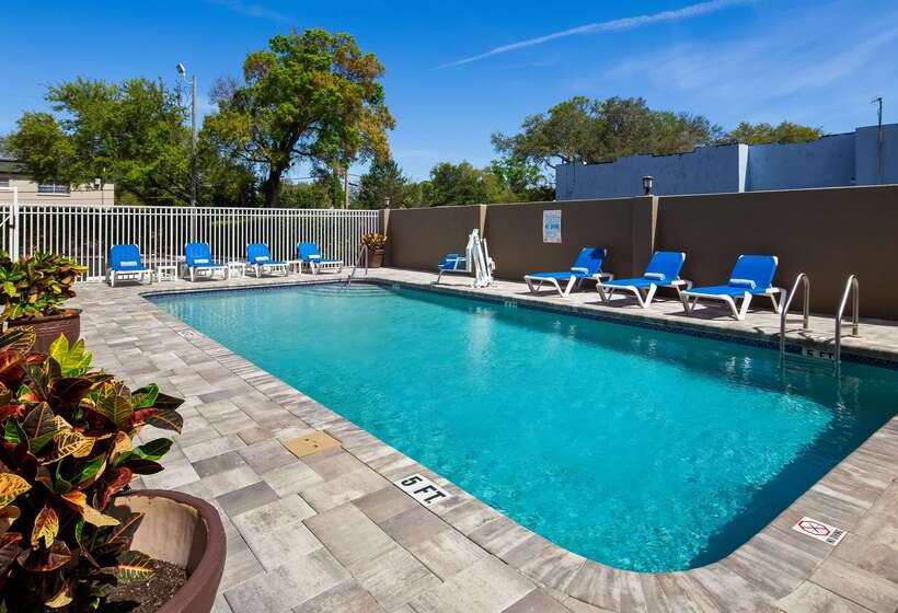 فندق Best Western Tampa