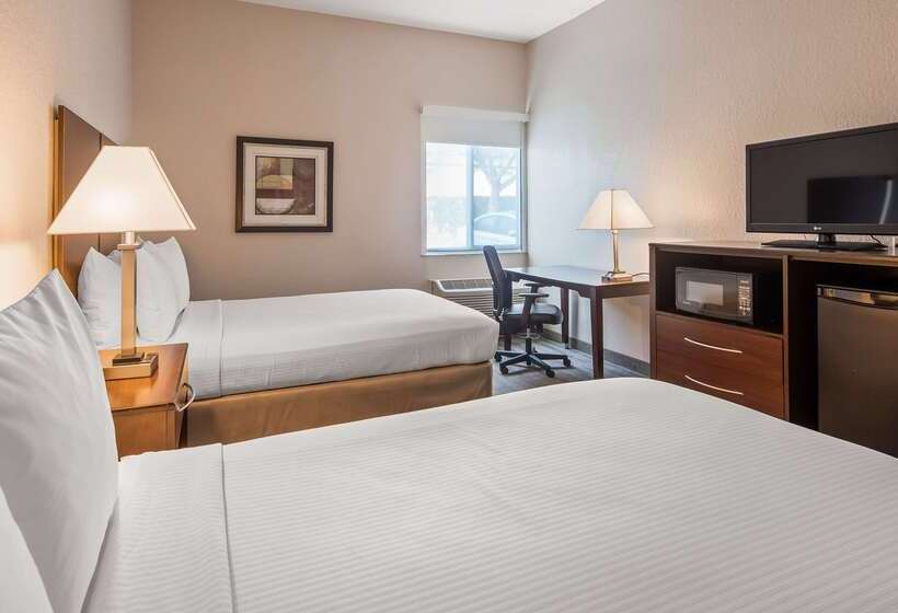فندق Best Western Tampa
