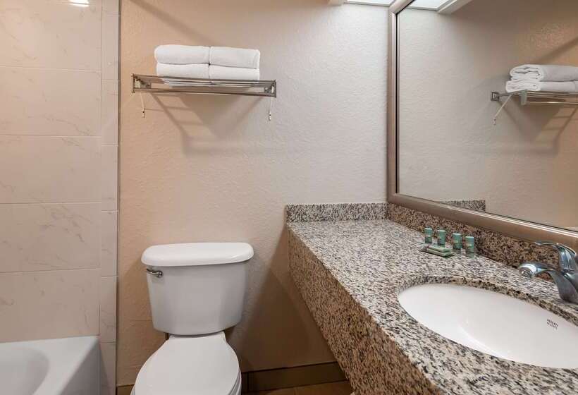 فندق Best Western Tampa
