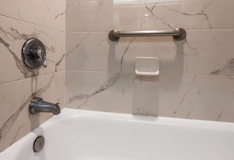 فندق Best Western Tampa