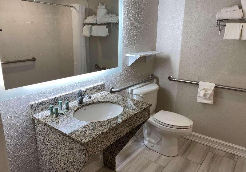 호텔 Best Western Tampa