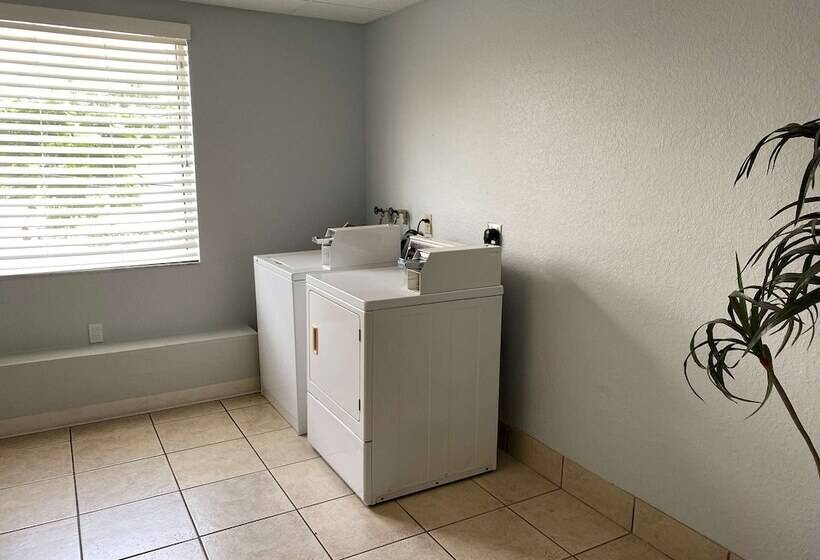 호텔 Best Western Tampa