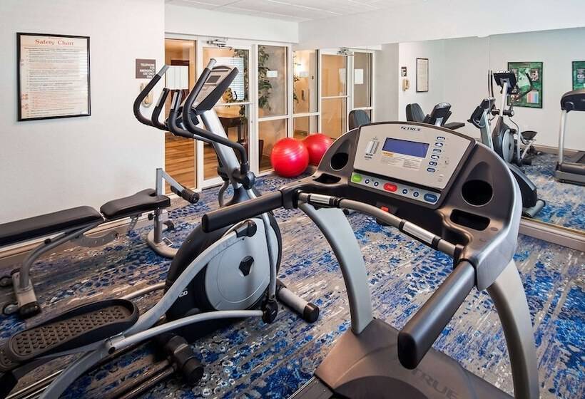 فندق Best Western Tampa