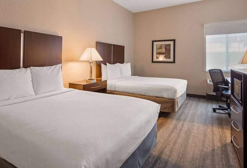 فندق Best Western Tampa