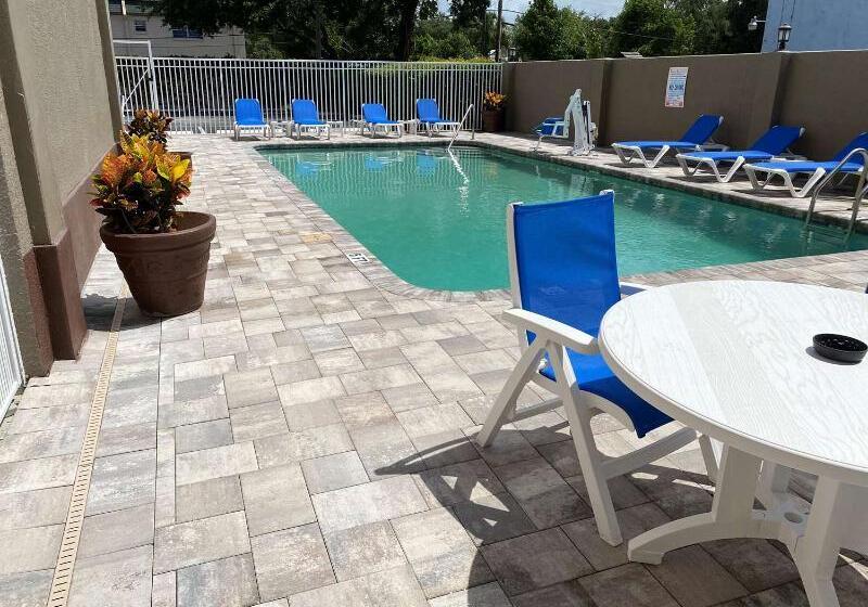 فندق Best Western Tampa
