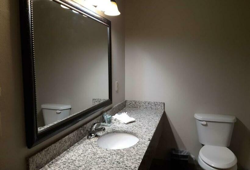 فندق Best Western Timberridge Inn