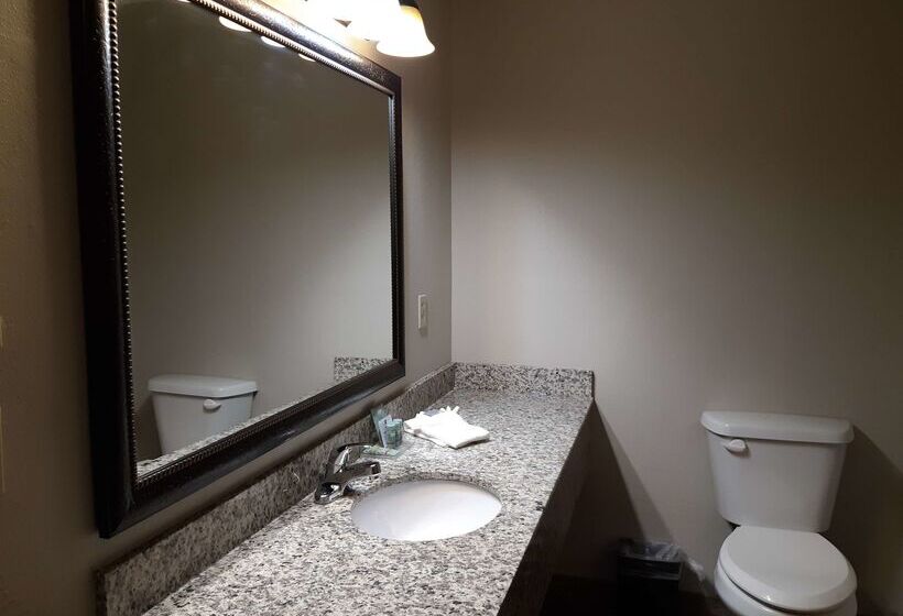 فندق Best Western Timberridge Inn