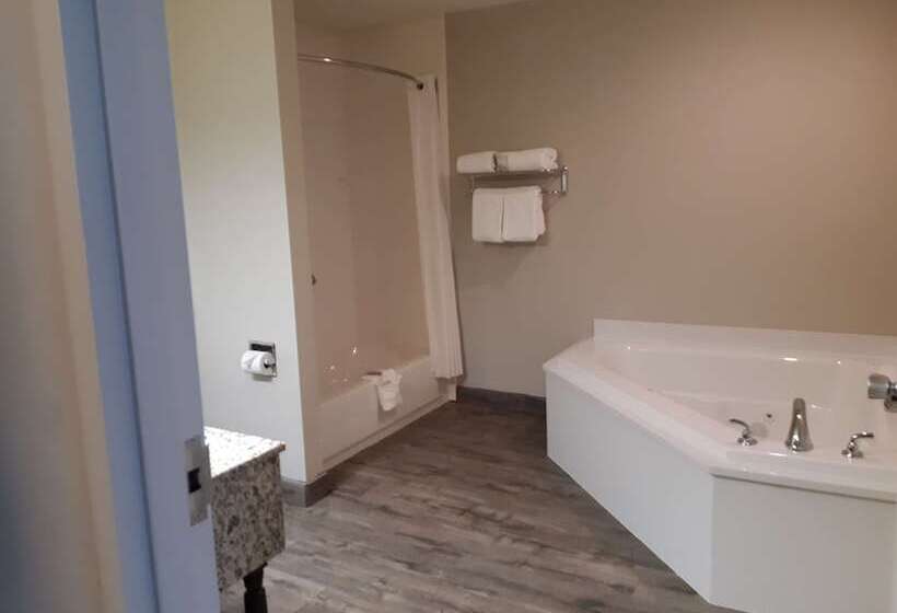 فندق Best Western Timberridge Inn