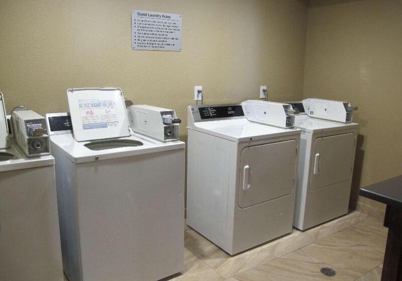 فندق Best Western Woodland Inn