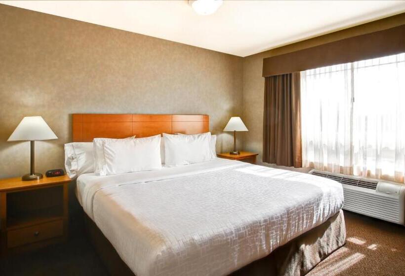 فندق Canalta Brooks