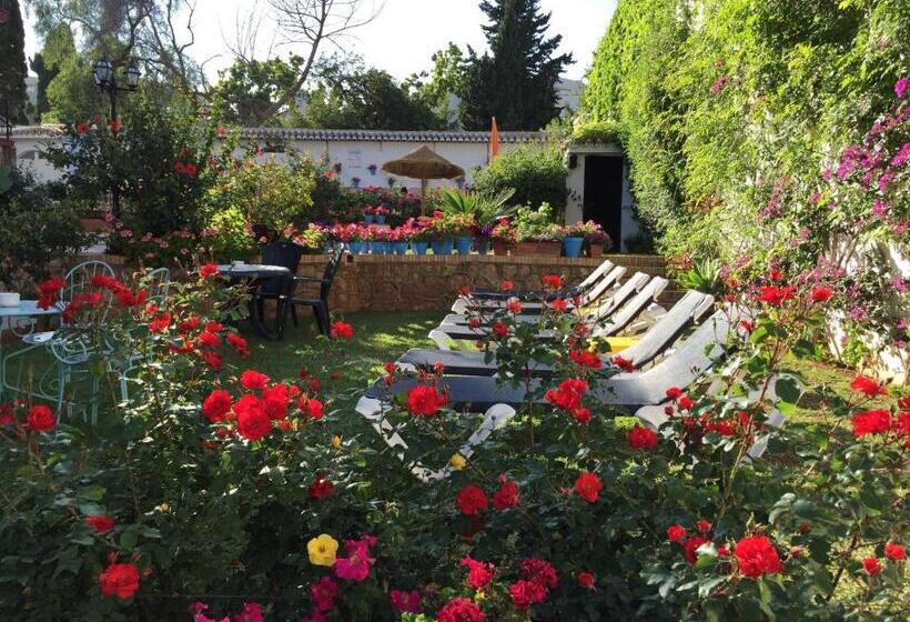 酒店 Carmen Teresa