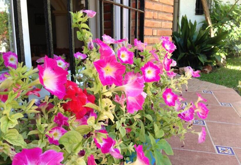 酒店 Carmen Teresa