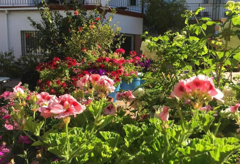 酒店 Carmen Teresa