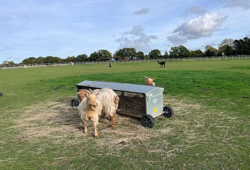 酒店 Coltsfoot Country Retreat