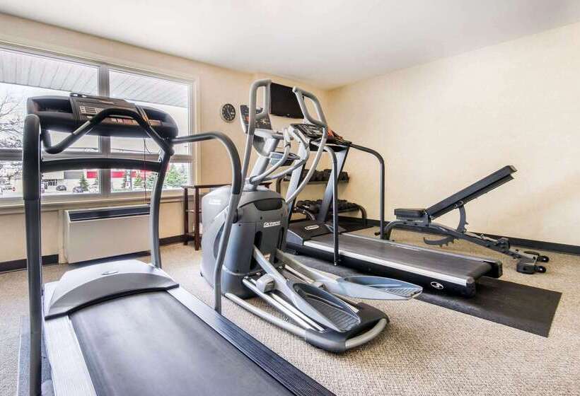 فندق Comfort Inn & Suites