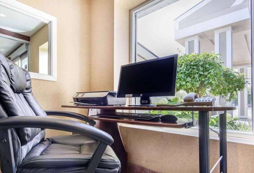 فندق Comfort Inn & Suites