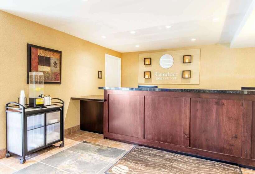 فندق Comfort Inn & Suites