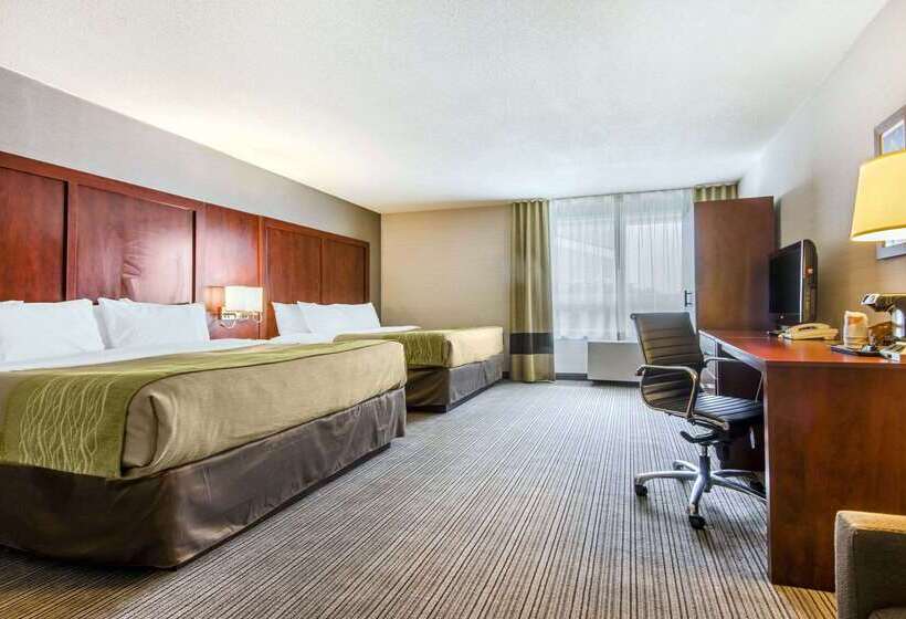 فندق Comfort Inn & Suites