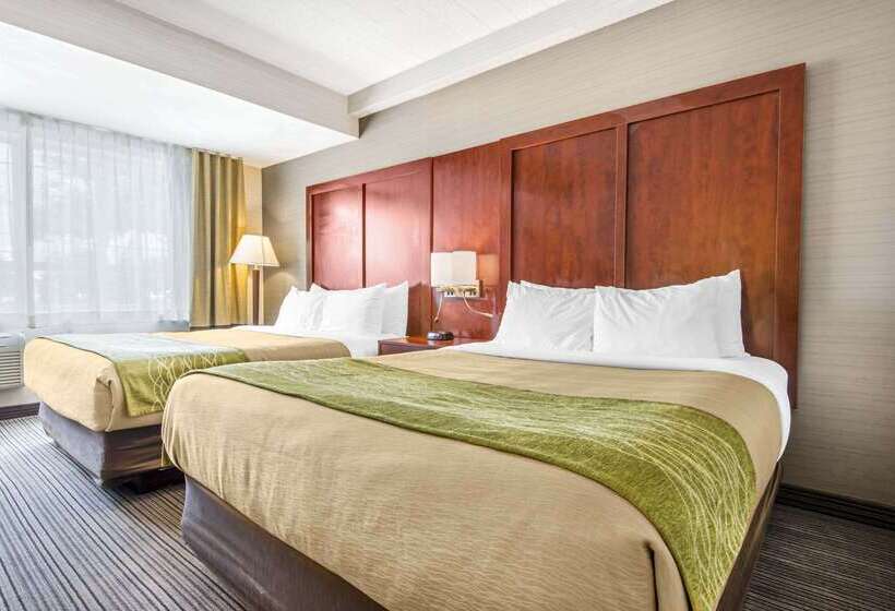 فندق Comfort Inn & Suites