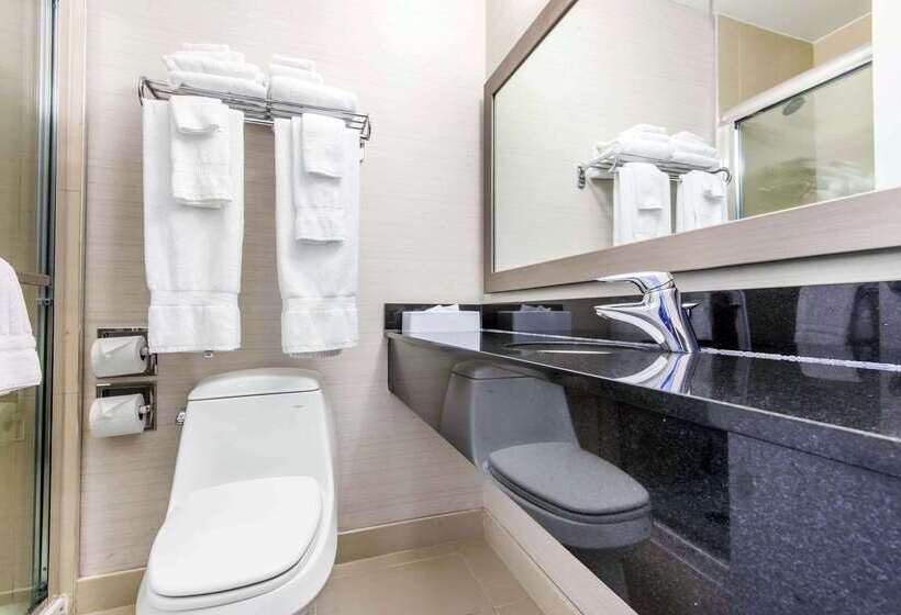 فندق Comfort Inn & Suites