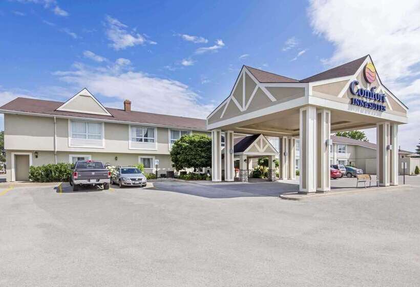 فندق Comfort Inn & Suites