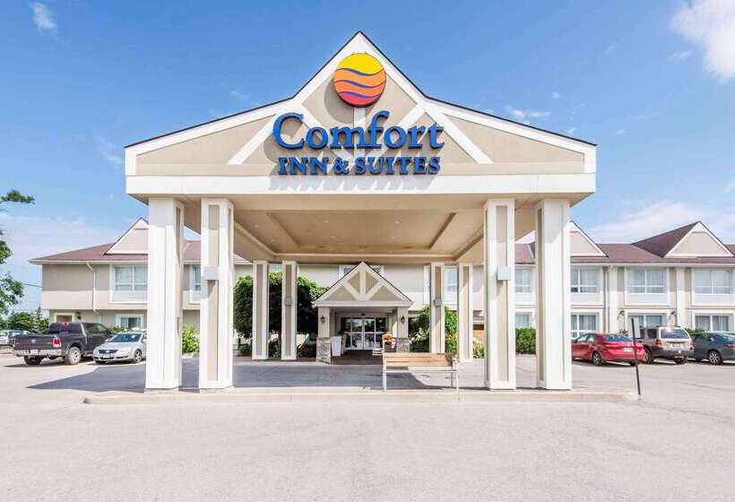 فندق Comfort Inn & Suites