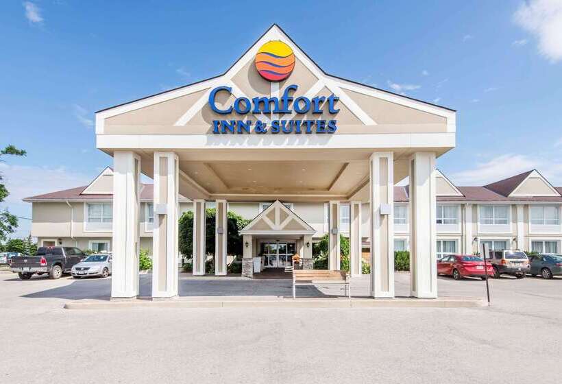 فندق Comfort Inn & Suites