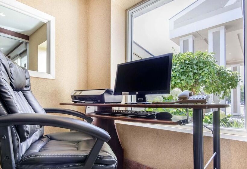 فندق Comfort Inn & Suites