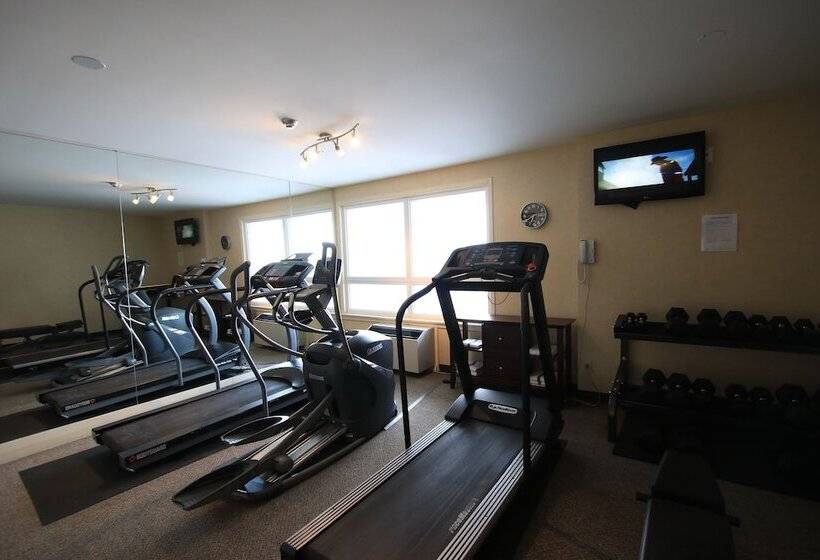 فندق Comfort Inn & Suites