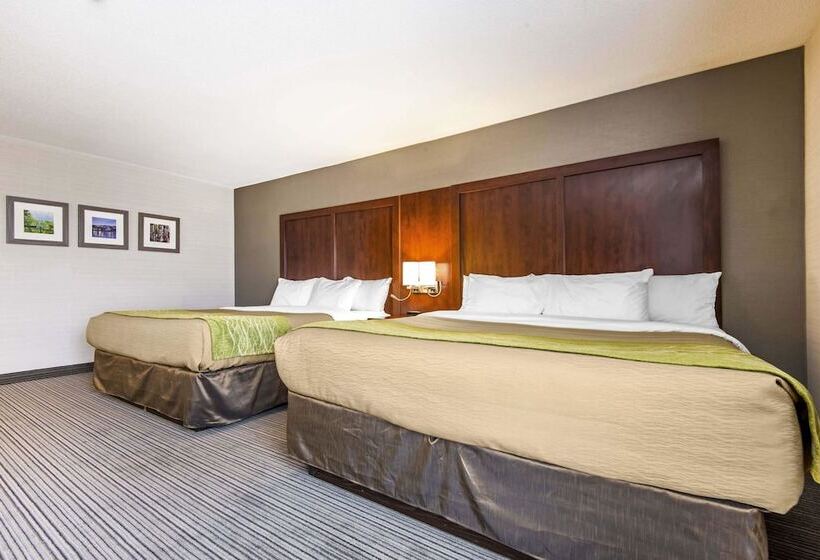 فندق Comfort Inn & Suites