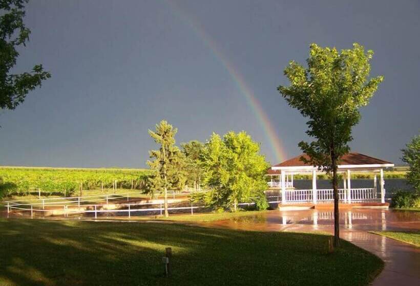 ホテル Comfort Inn & Suites At I 74 And 155