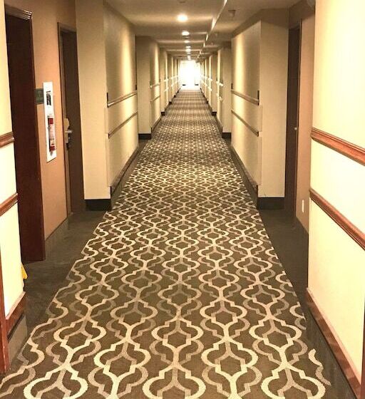 ホテル Comfort Inn & Suites At I 74 And 155