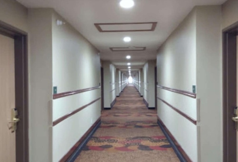 ホテル Comfort Inn & Suites At I 74 And 155