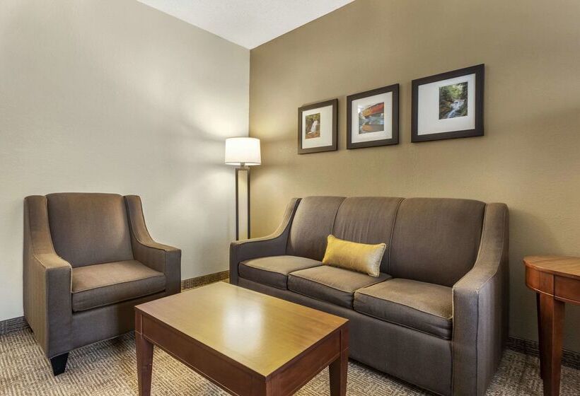 فندق Comfort Inn & Suites Streetsboro  Kent