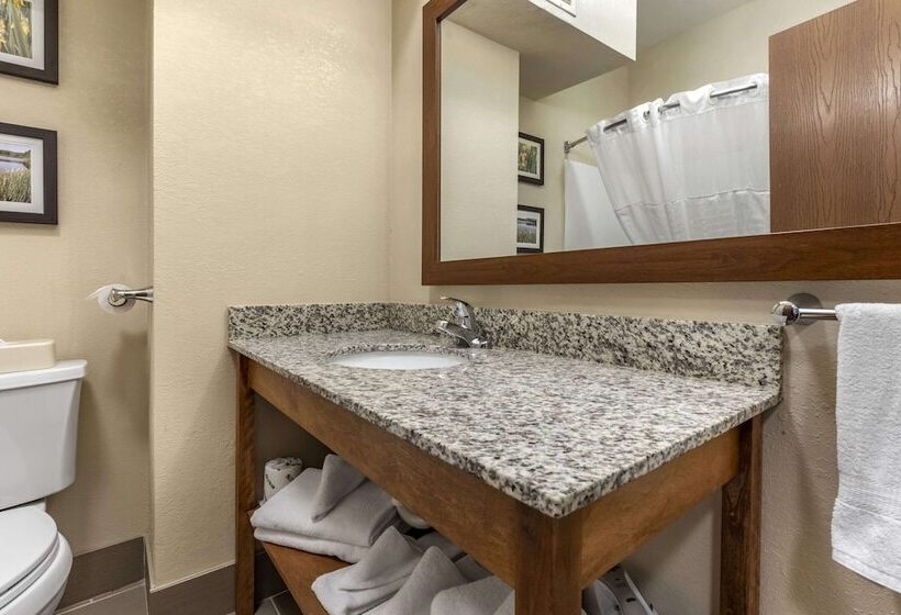 فندق Comfort Inn & Suites Streetsboro  Kent