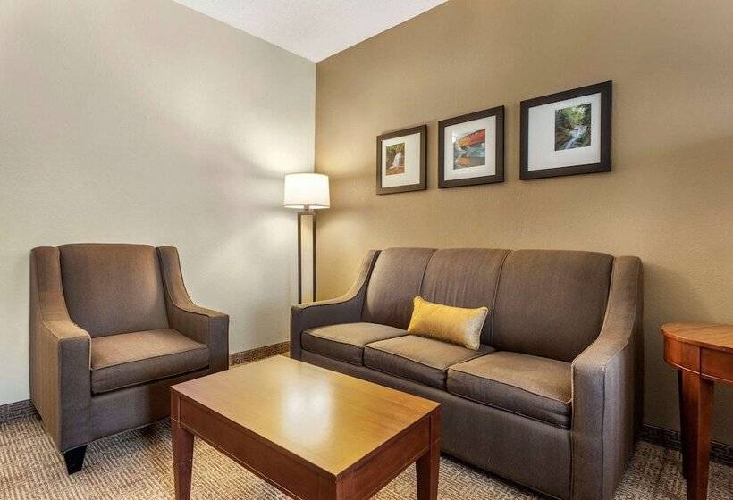 فندق Comfort Inn & Suites Streetsboro  Kent