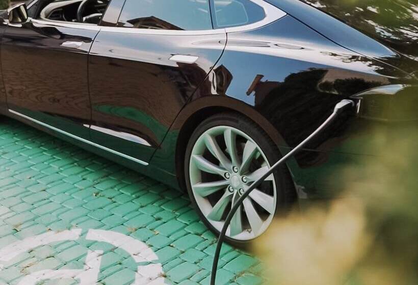 Eco Friendly Hotel Dália